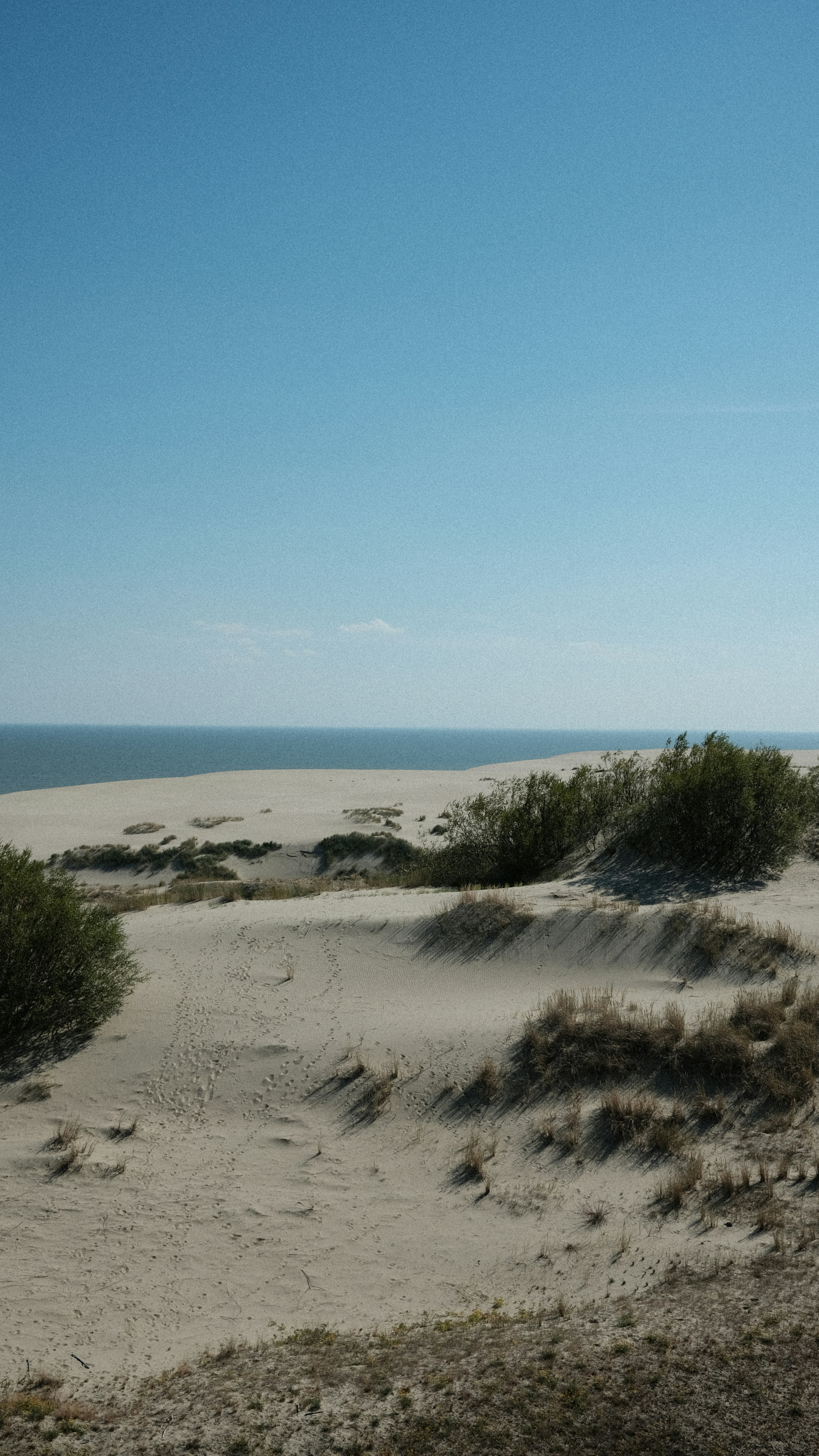 Photo by chris_designer