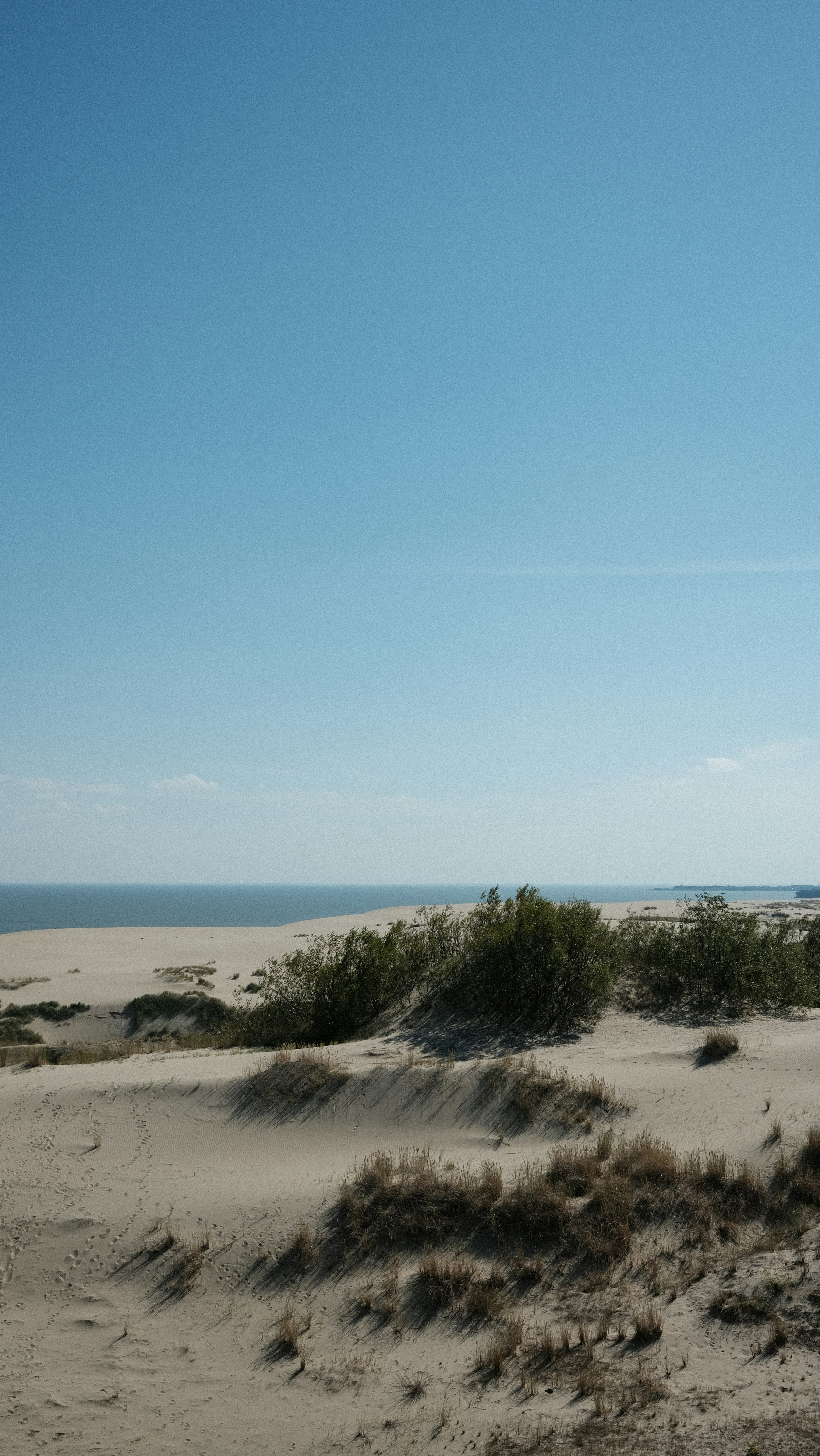 Photo by chris_designer