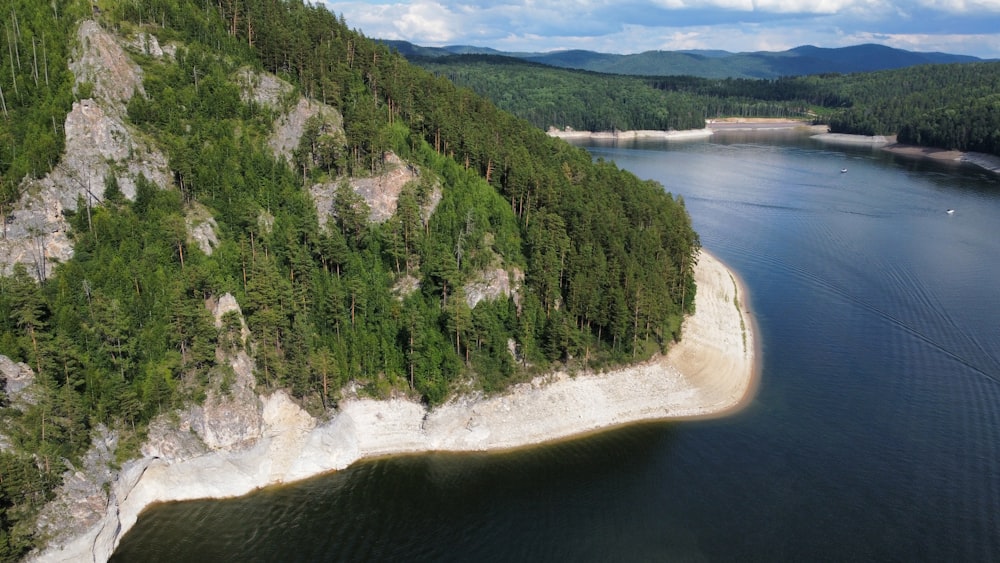 a body of water with trees on the side