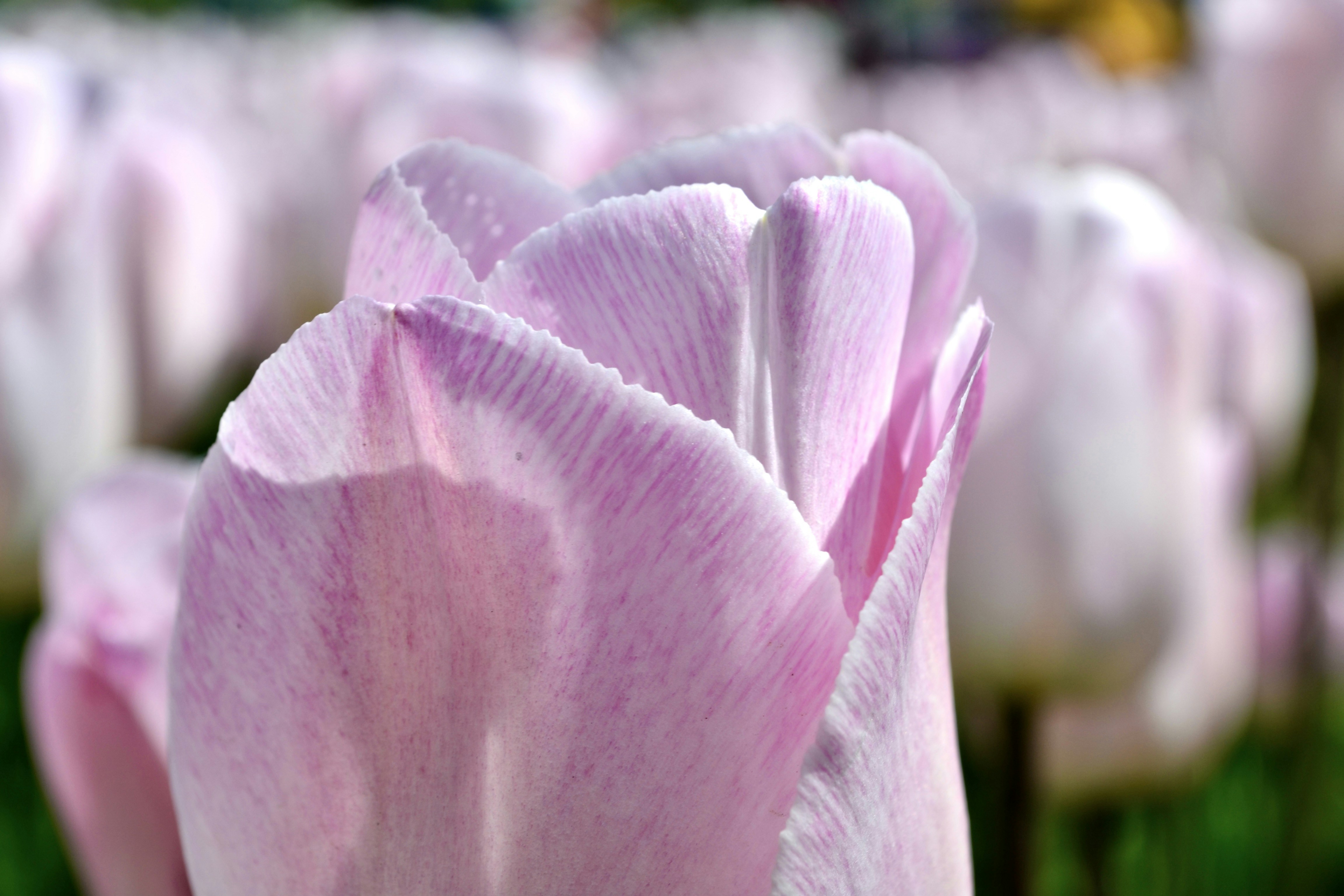 Photo by evgenslavin