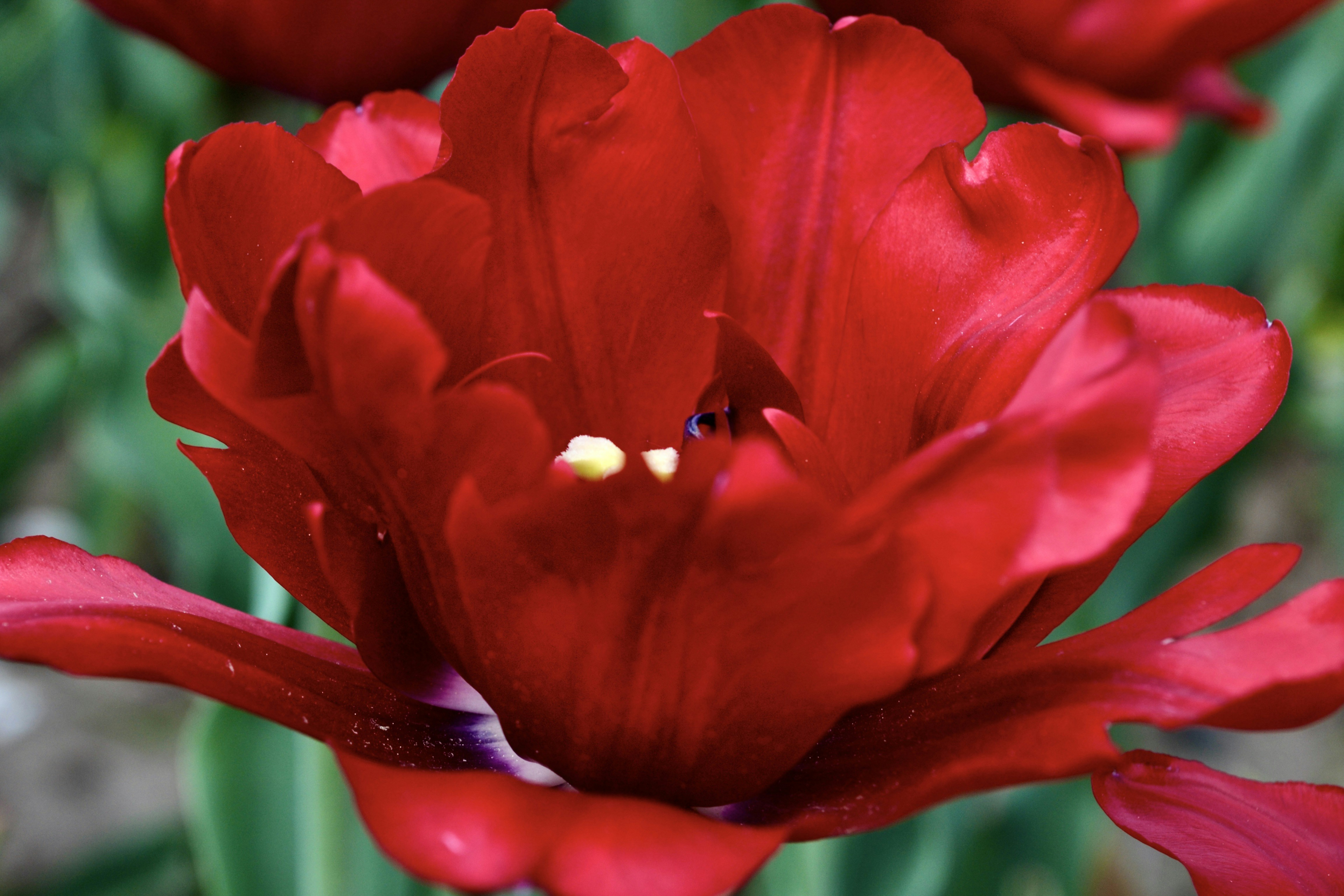 Photo by evgenslavin