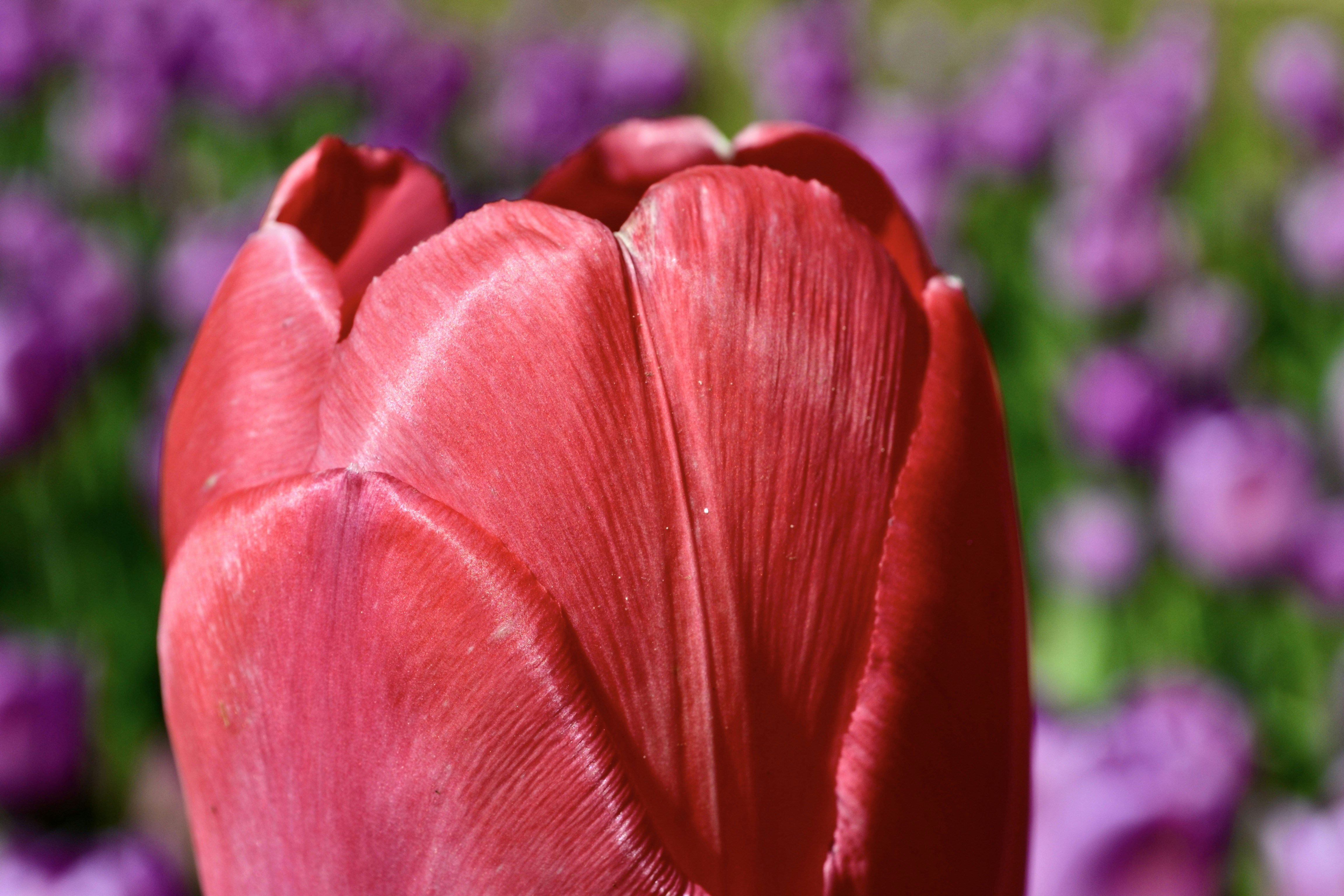 Photo by evgenslavin