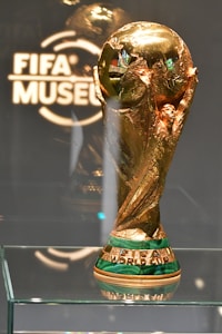 Silver Star Award