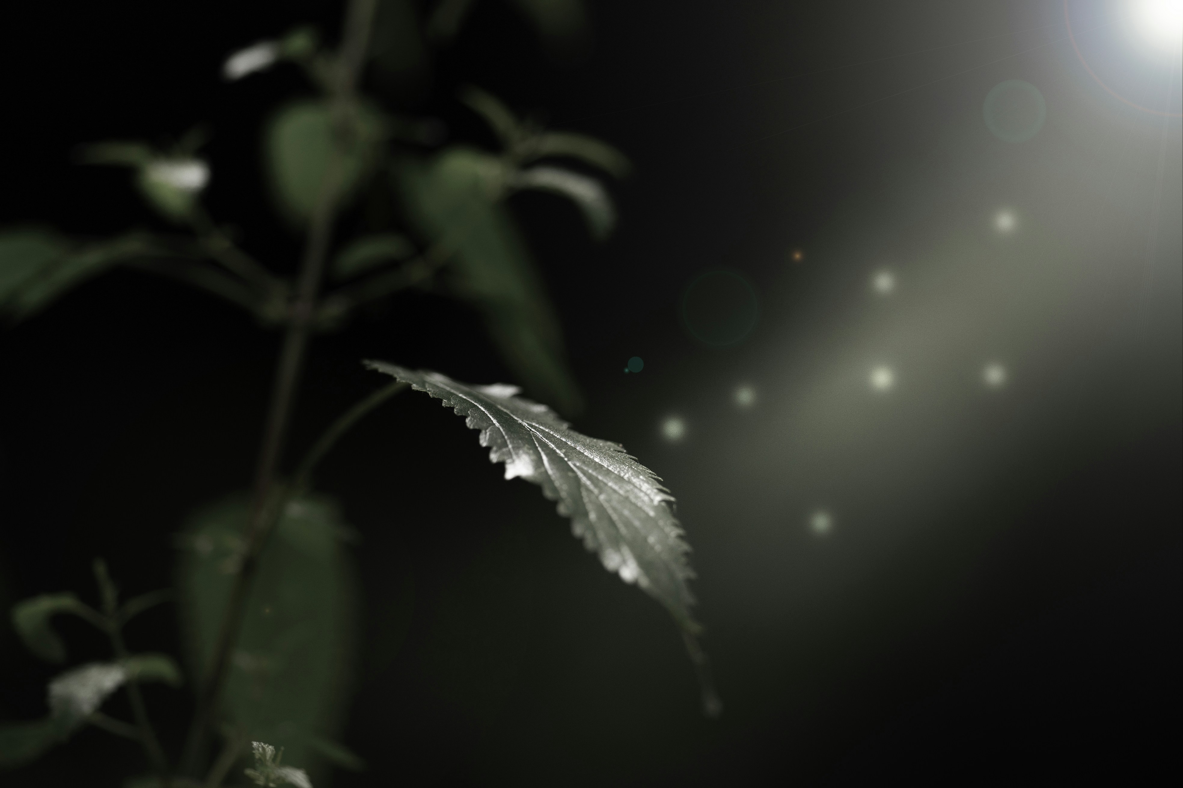 Photo by omarvellous14