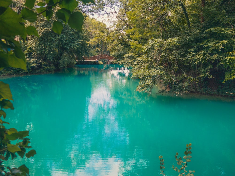 a body of water surrounded by trees