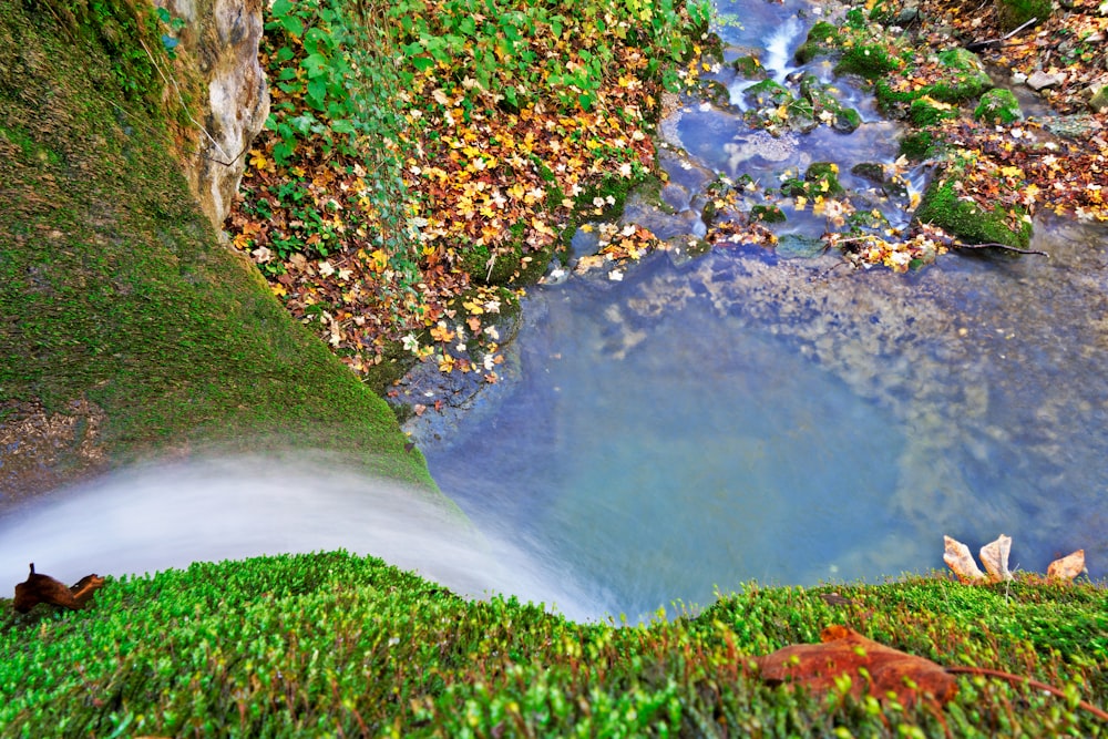 a stream of water surrounded by grass