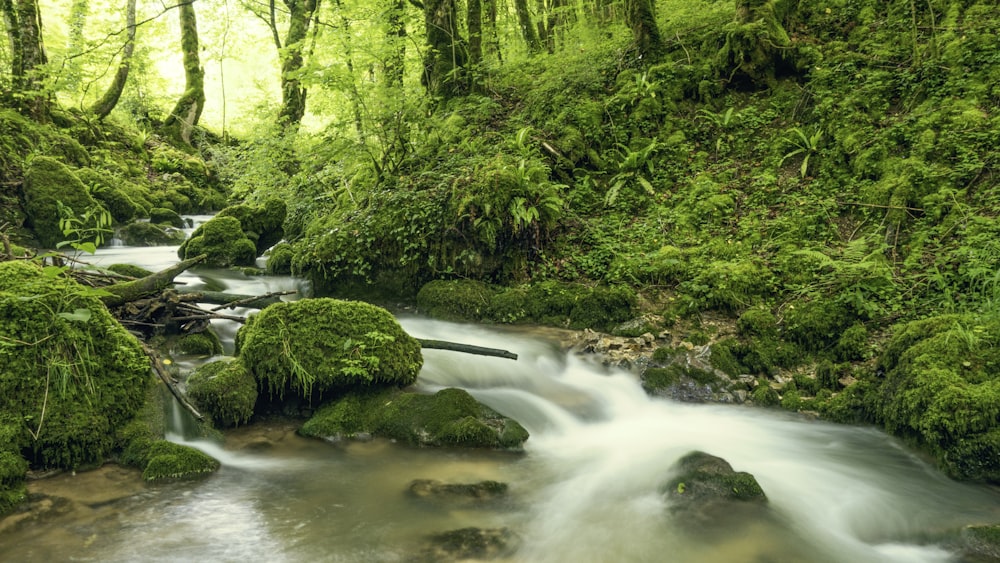 a waterfall in a forest