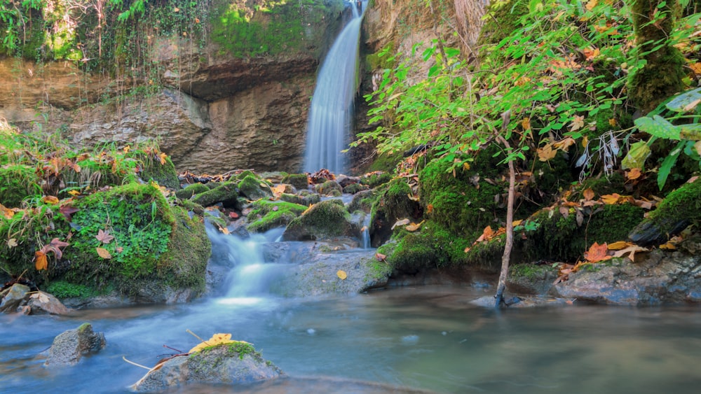 a waterfall in a forest