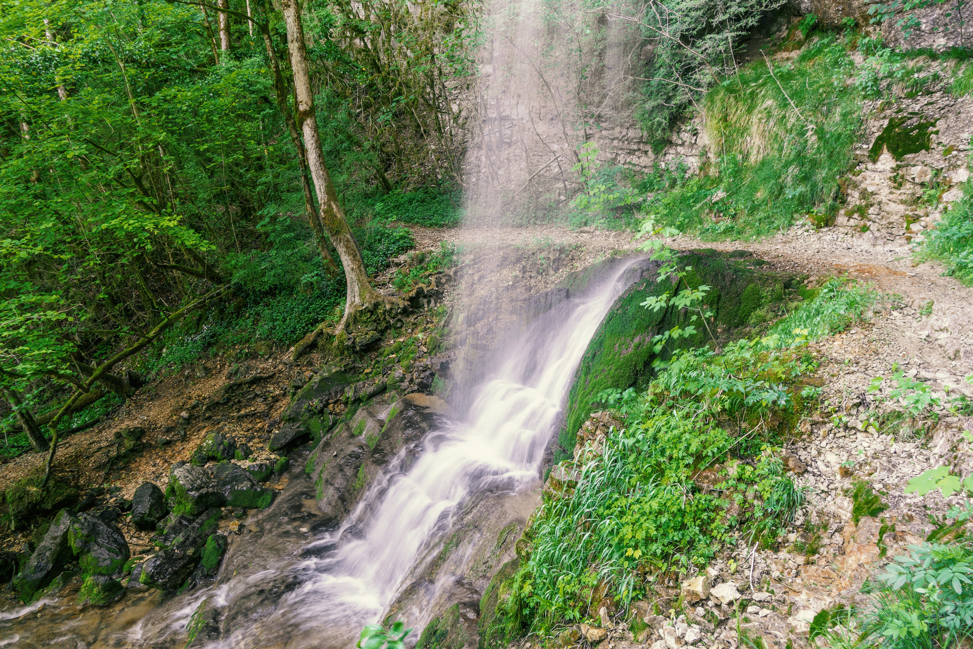 Une cascade dans une forêt