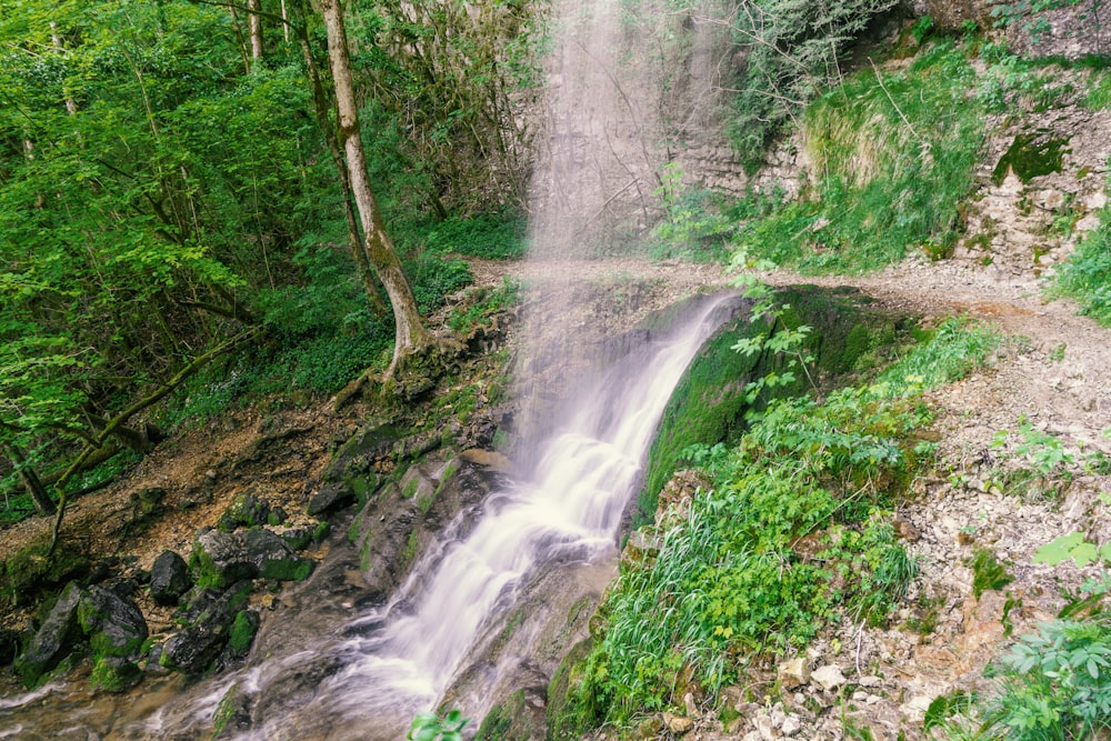 a waterfall in a forest