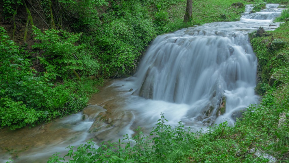 a waterfall in a forest