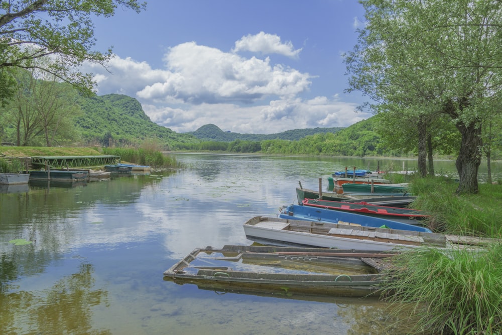 a group of boats sit in a lake