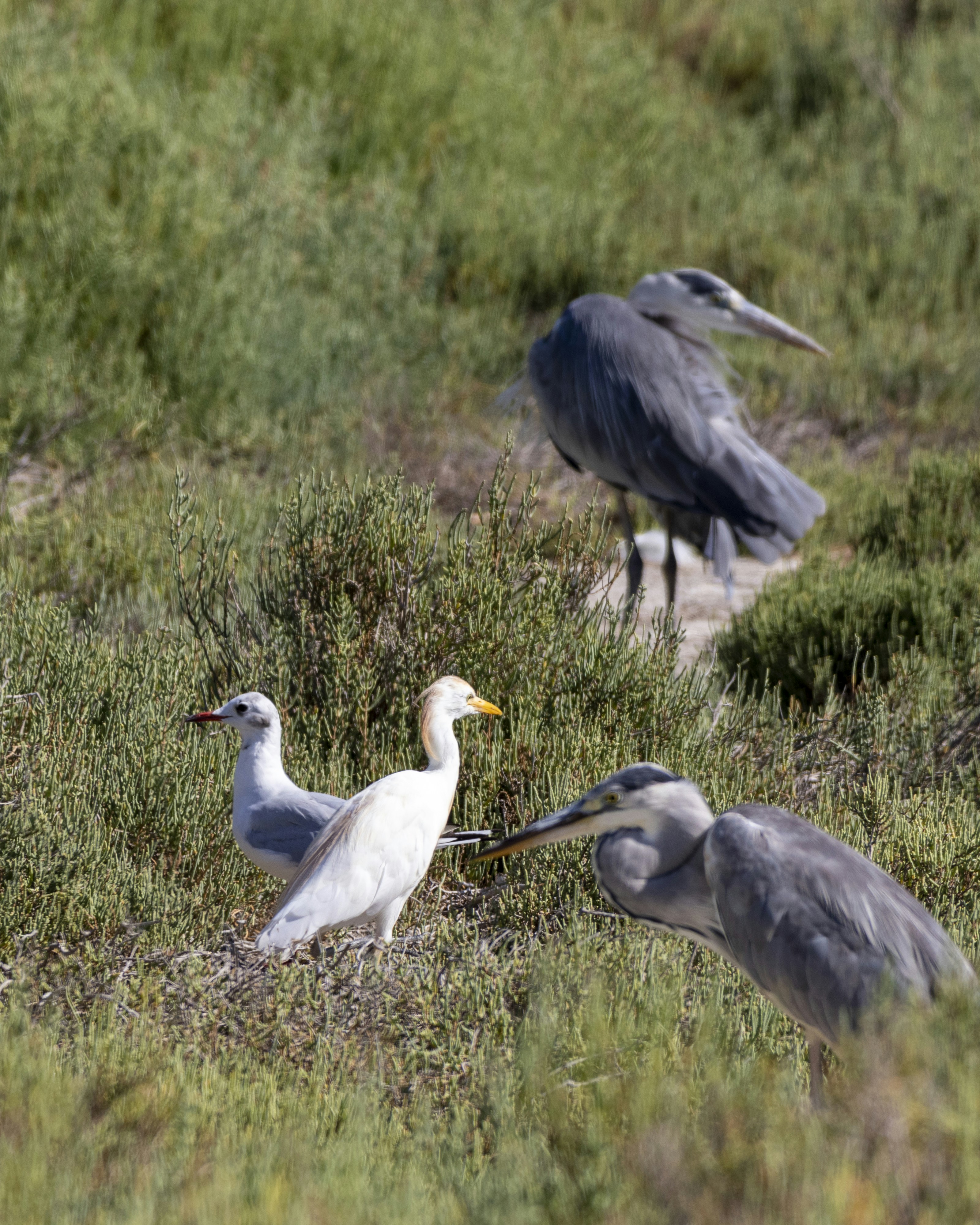 Photo by matthieur68