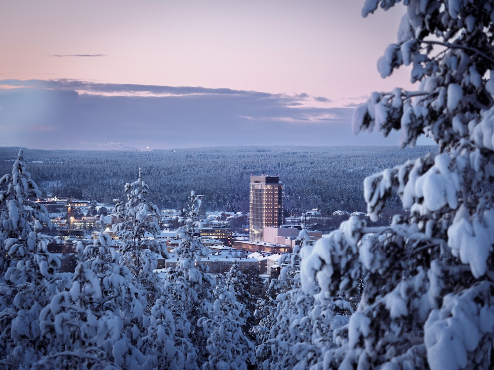 a city in the snow