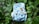 A cloth diaper with a blue background featuring illustrations of woodland animals such as a raccoon and an owl. The diaper is laying on a bed of lush green leaves.