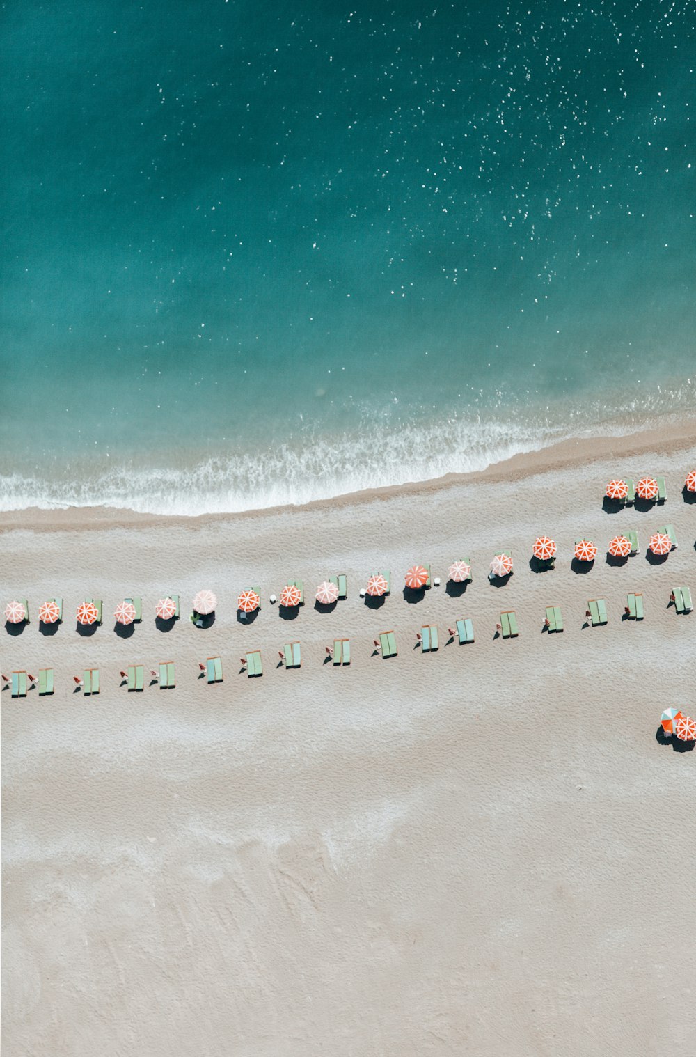 una spiaggia con molti piccoli oggetti bianchi su di essa