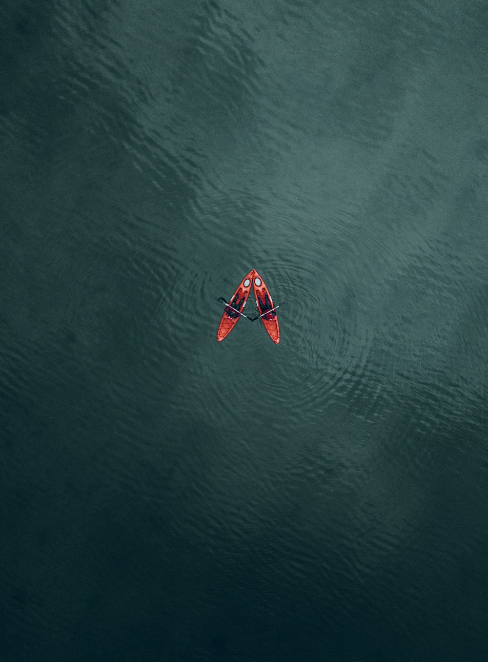 Una barca rossa e bianca sull'acqua