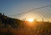 Solar fencing panels installed along a rural property boundary at sunset.