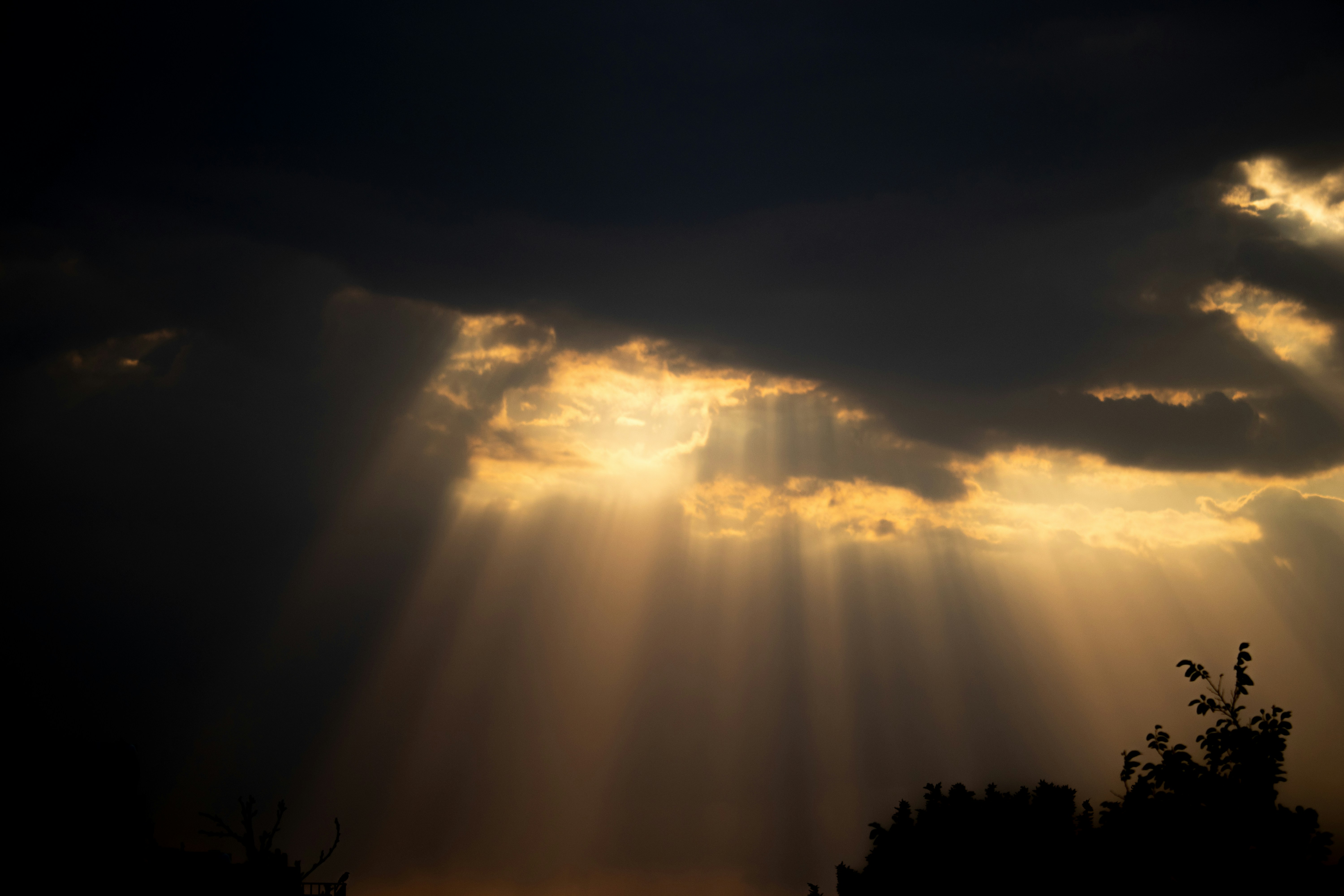 Photo by sinabahar76