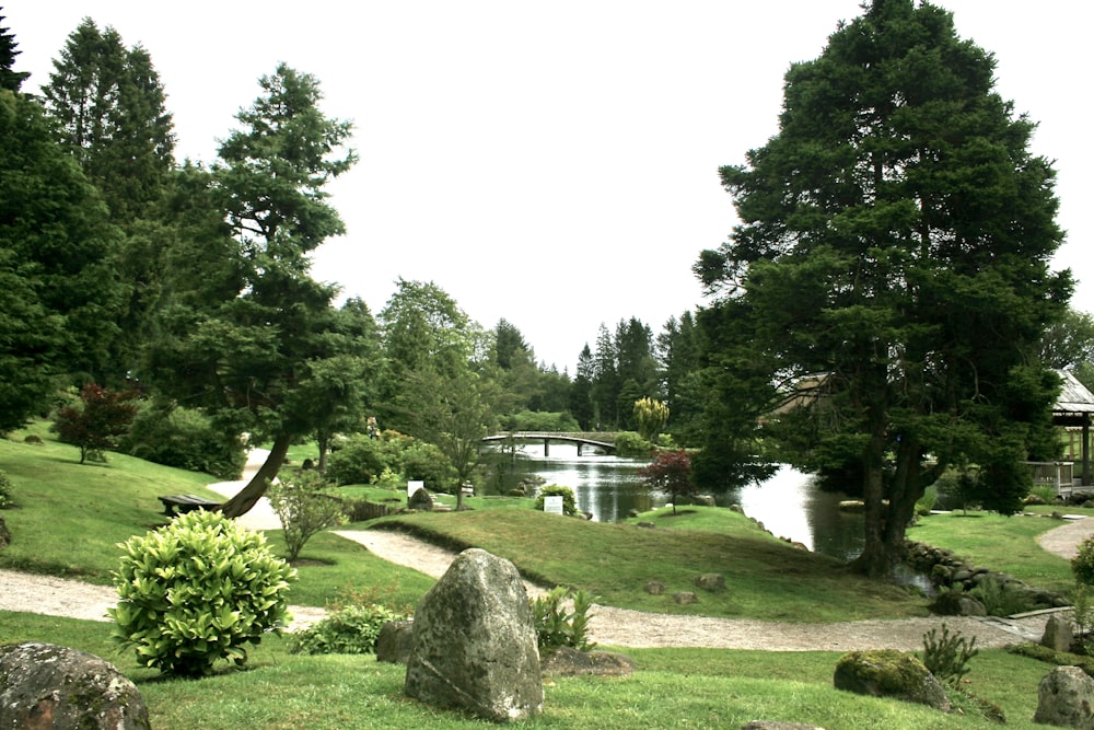 a pond surrounded by trees and grass