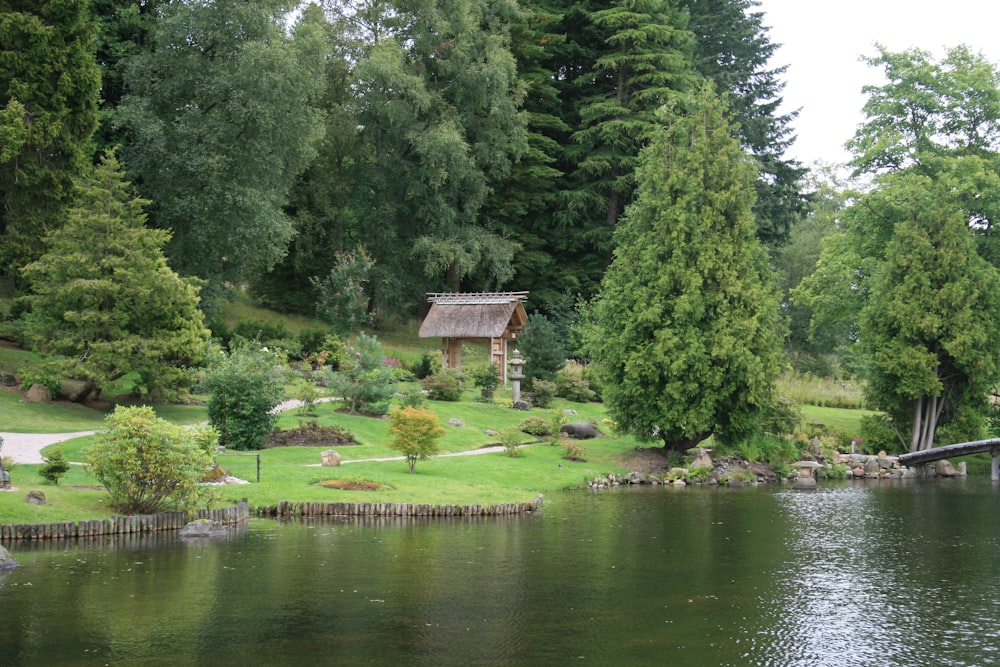 a pond with a house and trees around it