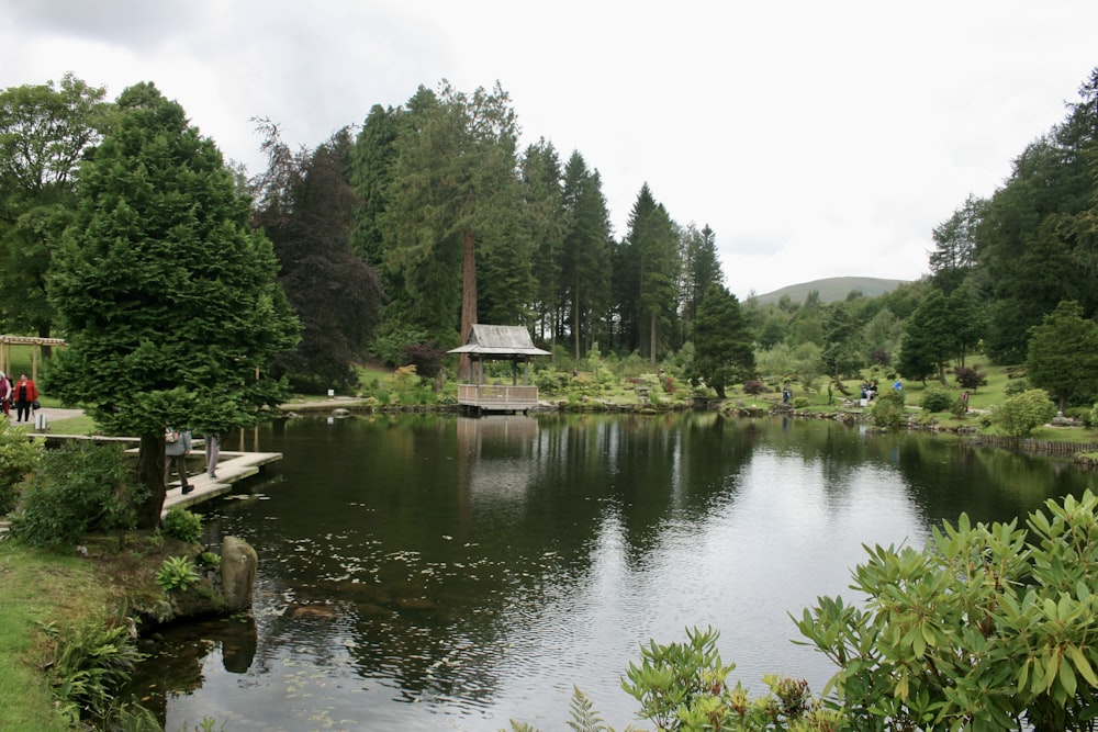 a pond with trees and a building