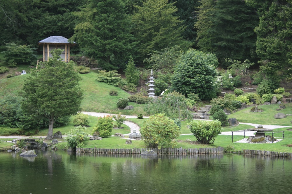 a pond with a building in the background