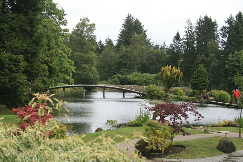 a pond with a bridge over it