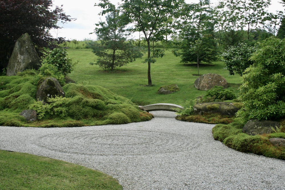 a path through a grassy area