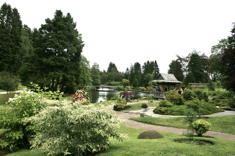 a pond surrounded by trees and bushes