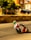 A motorcyclist in colorful racing gear leans into a sharp turn during a high-speed street race. The blurred background suggests motion, with hay bales serving as a barrier on the side of the road. Buildings and trees line the street, adding an urban feel to the race setting.