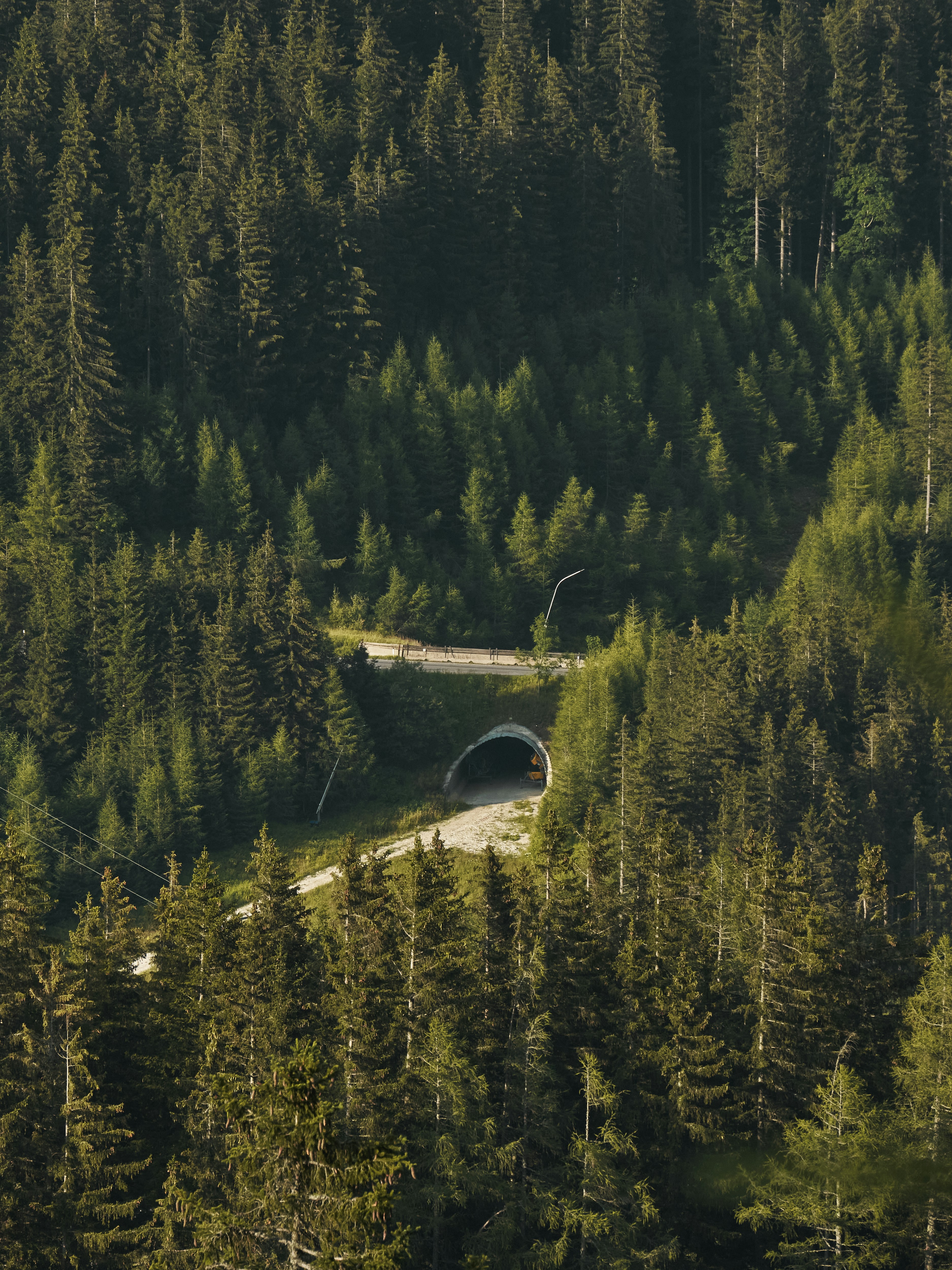 Designing Nature's Superhighways (image credits: unsplash)