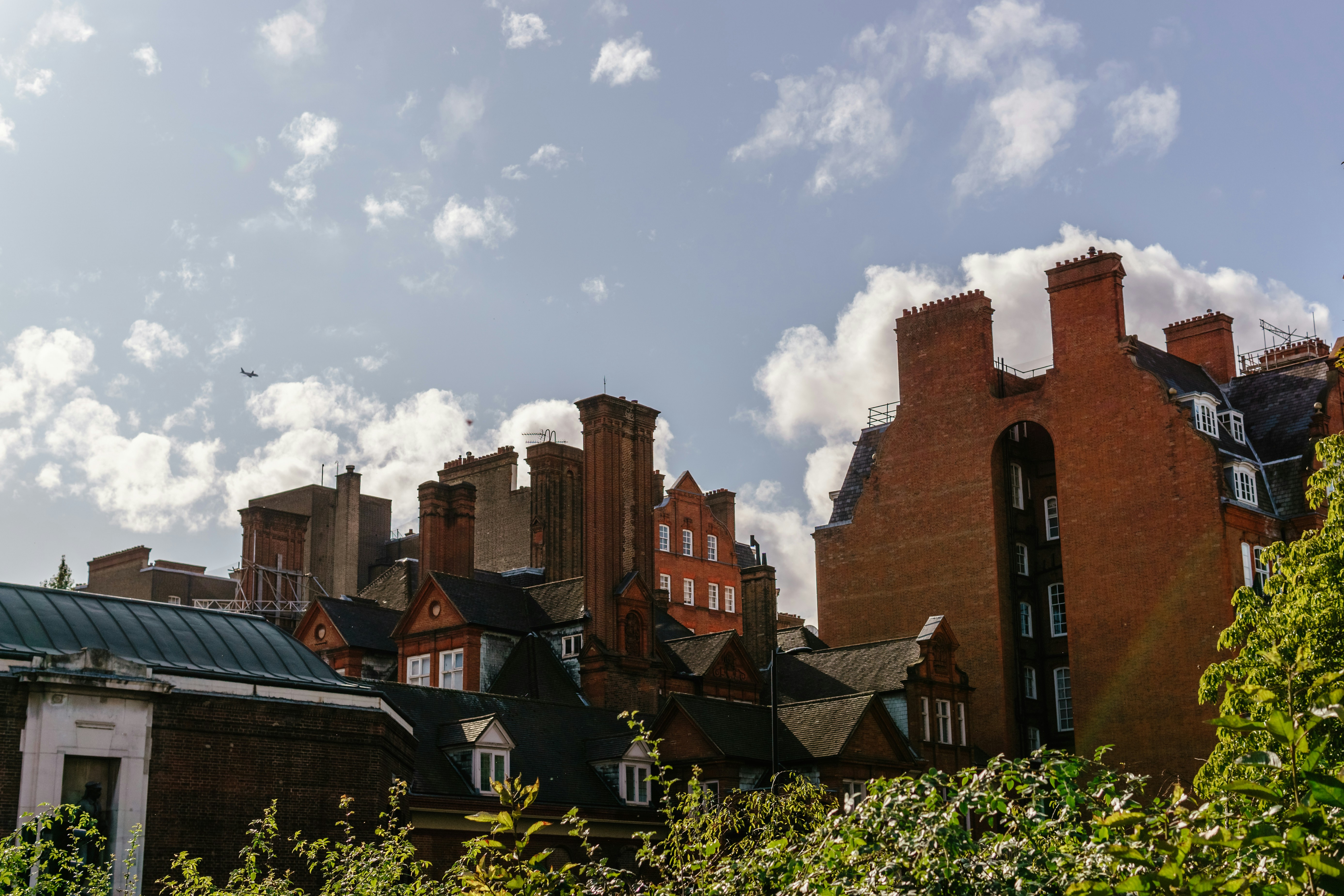 Photo by igorharrier