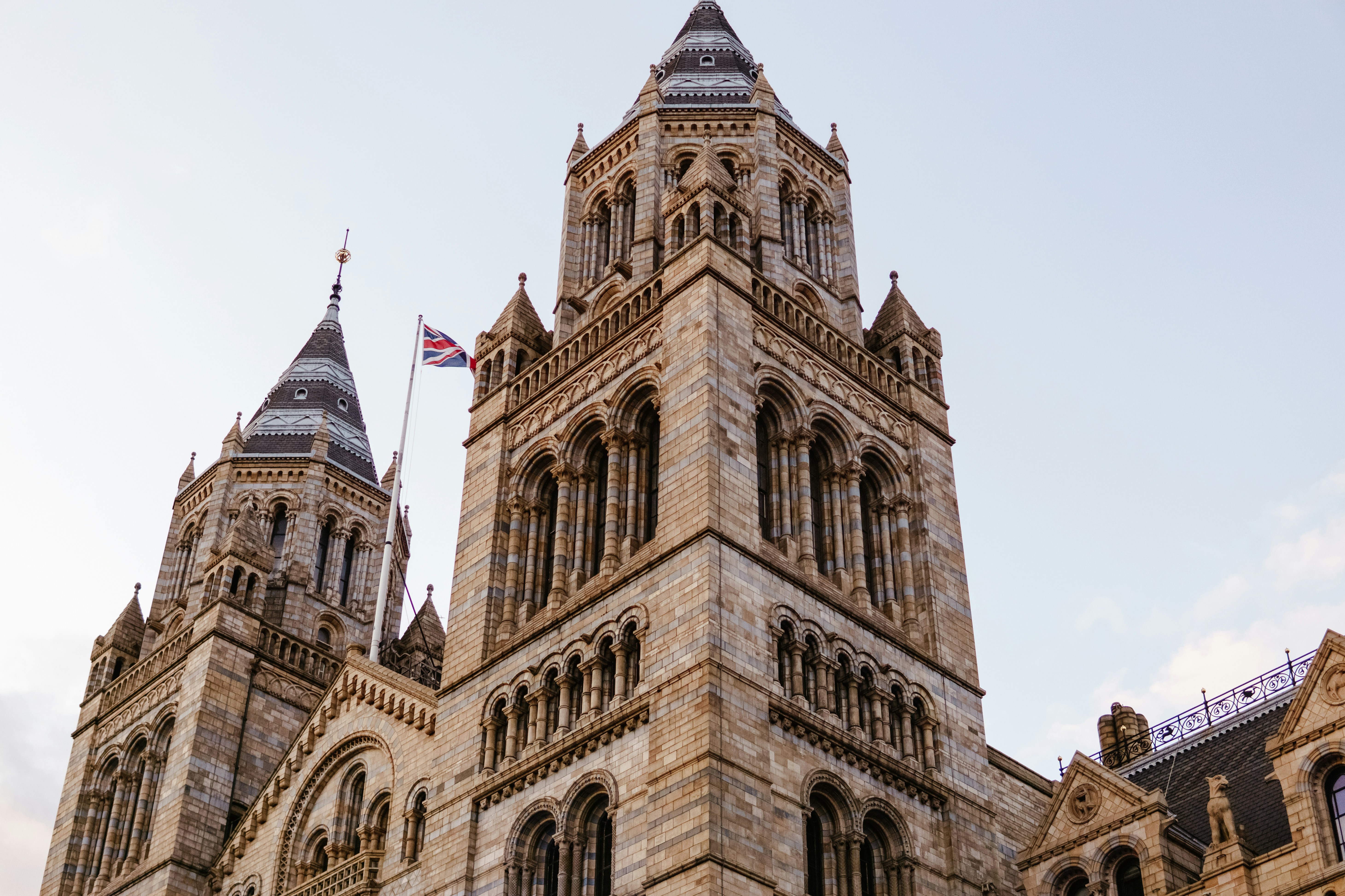 Photo by igorharrier