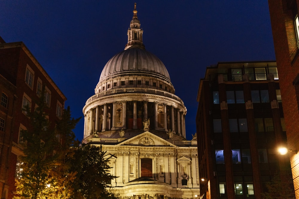 La cathédrale Saint-Paul avec un dôme et un arbre devant elle