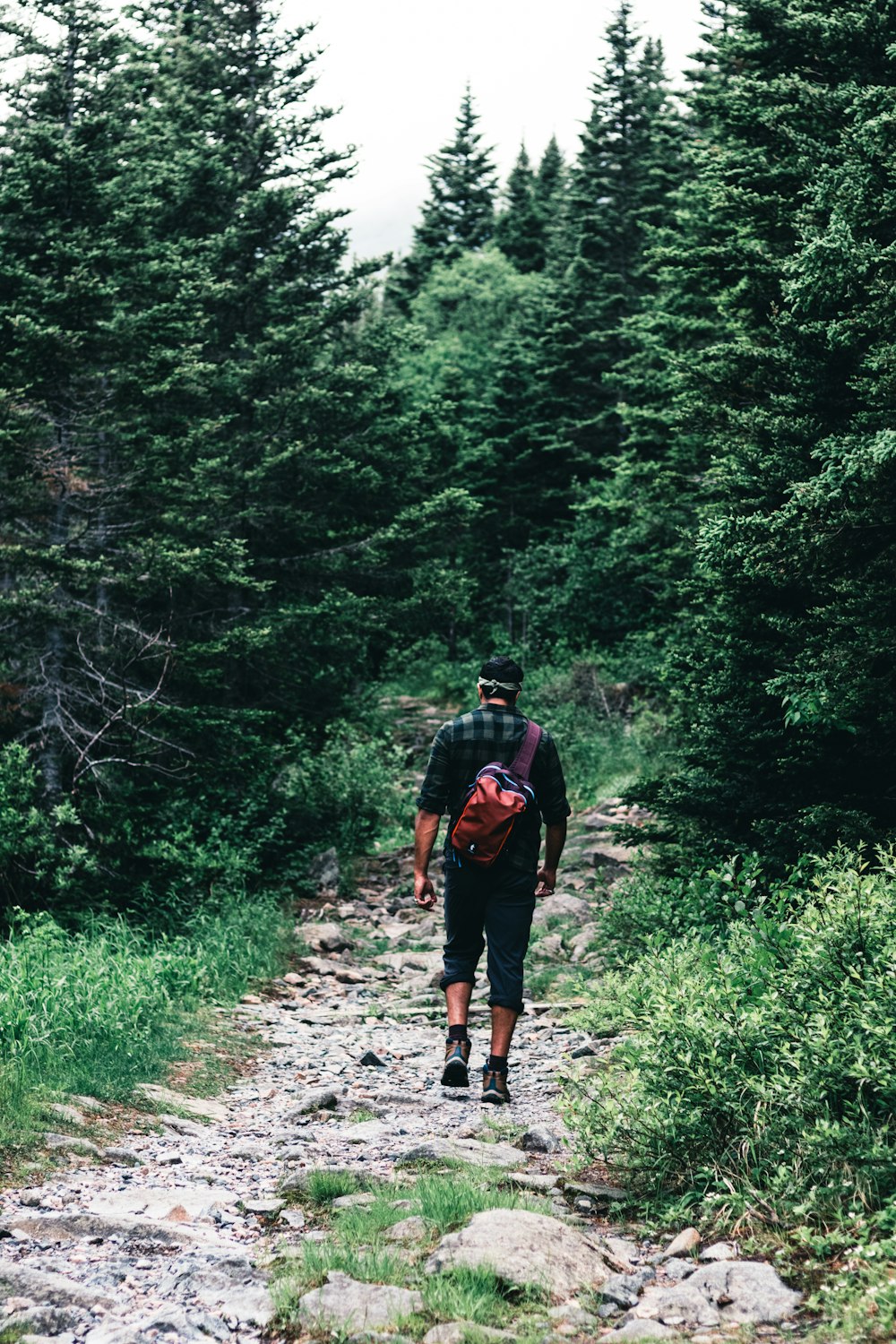 a man walking on a trail in the woods