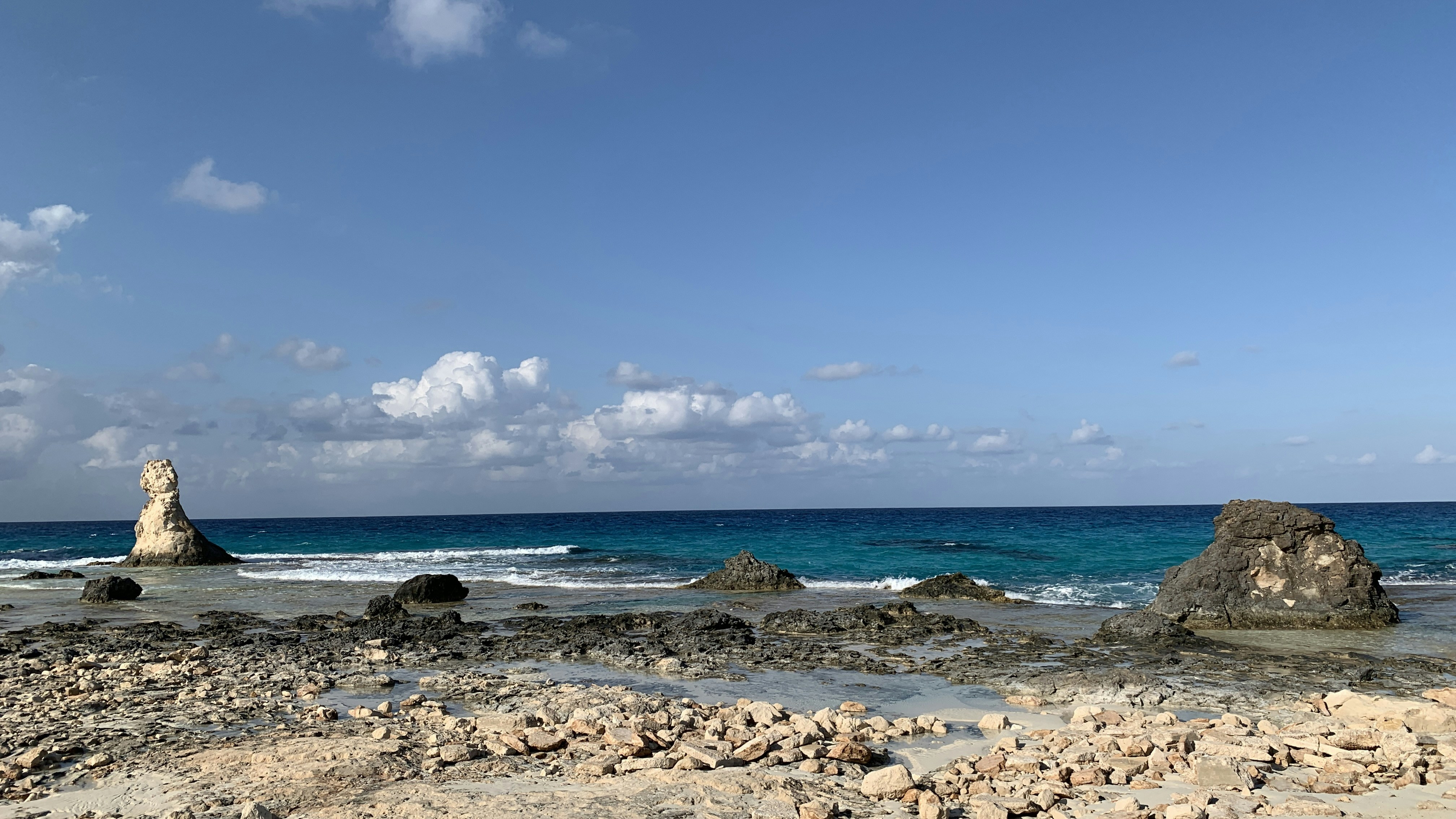 Photo by hanimoustafa