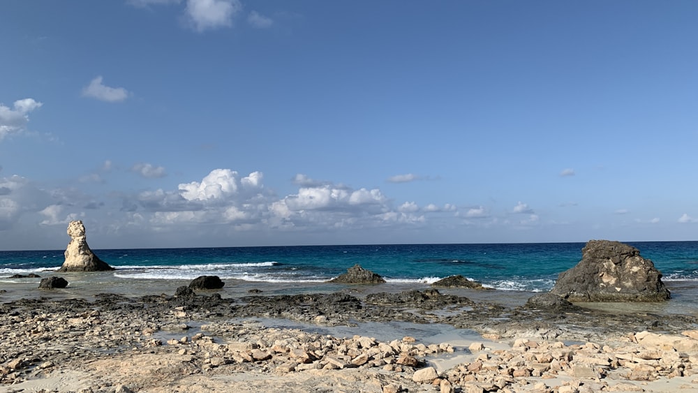 a rocky beach with a large body of water in the background