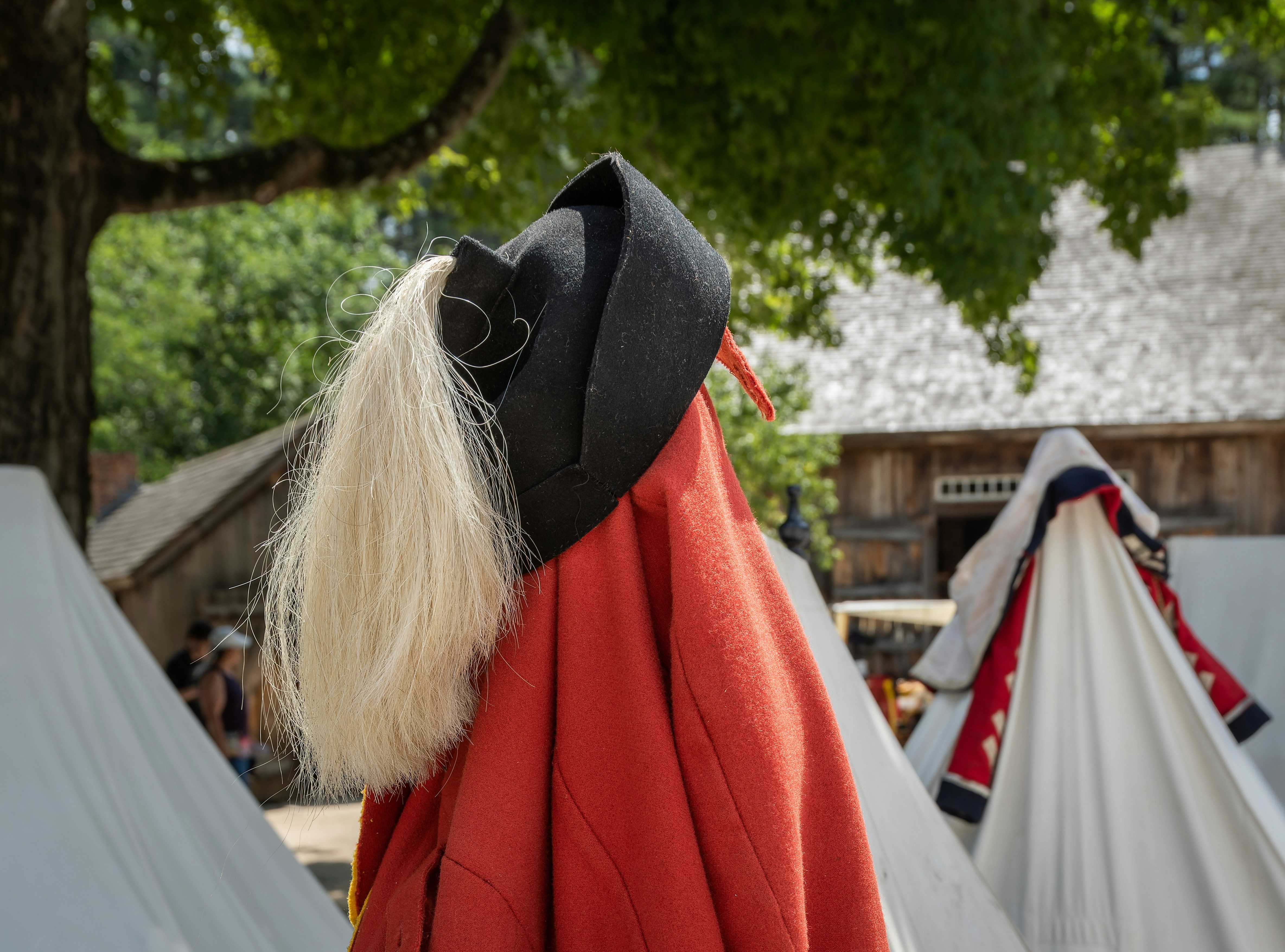 Bonnet Pictures | Download Free Images on Unsplash