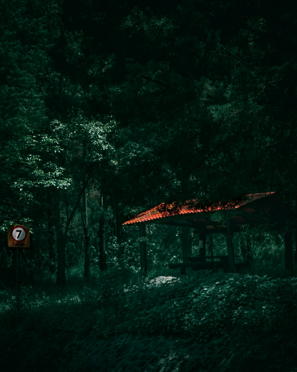 a gazebo in the woods