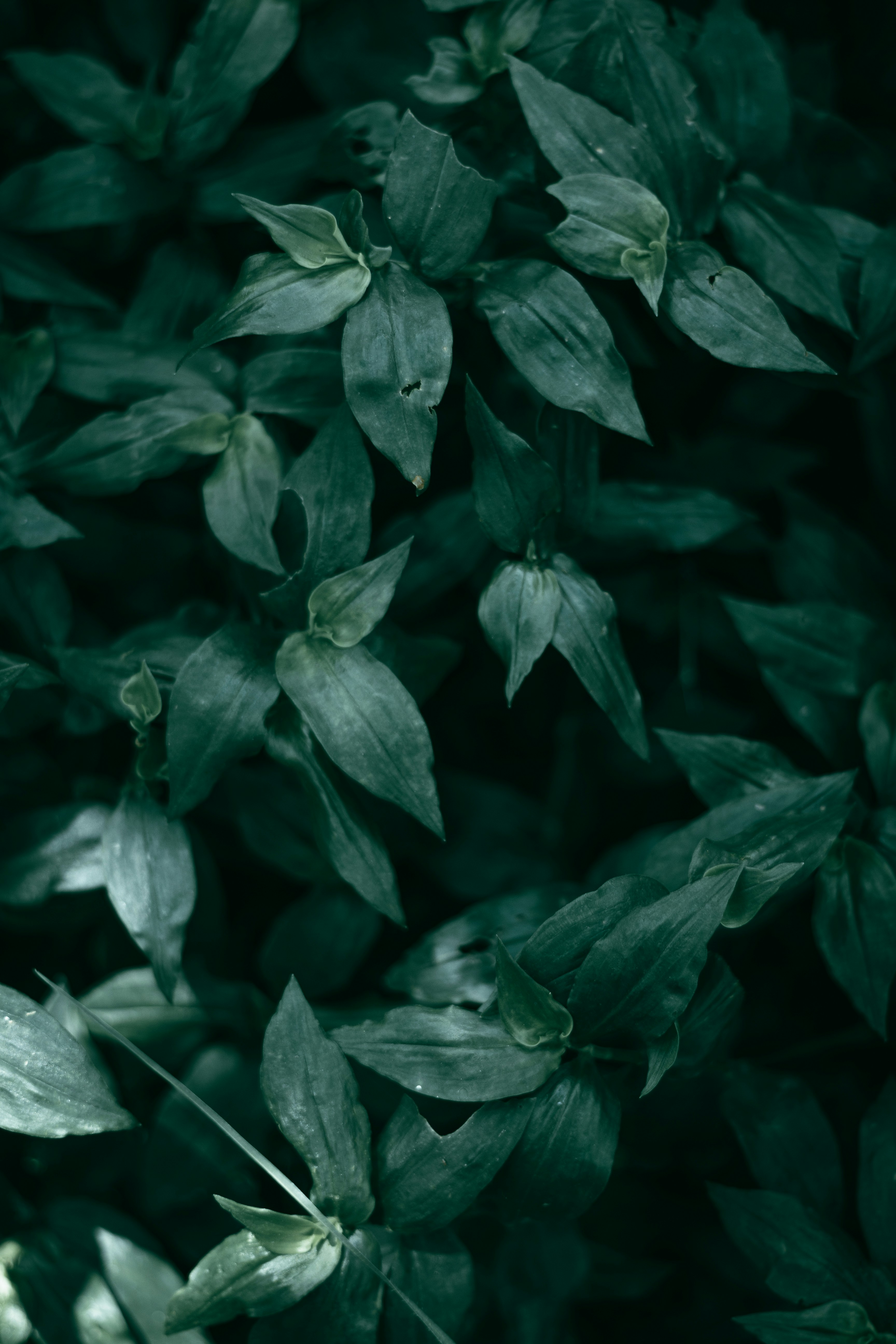 Photo by kristen_plastique