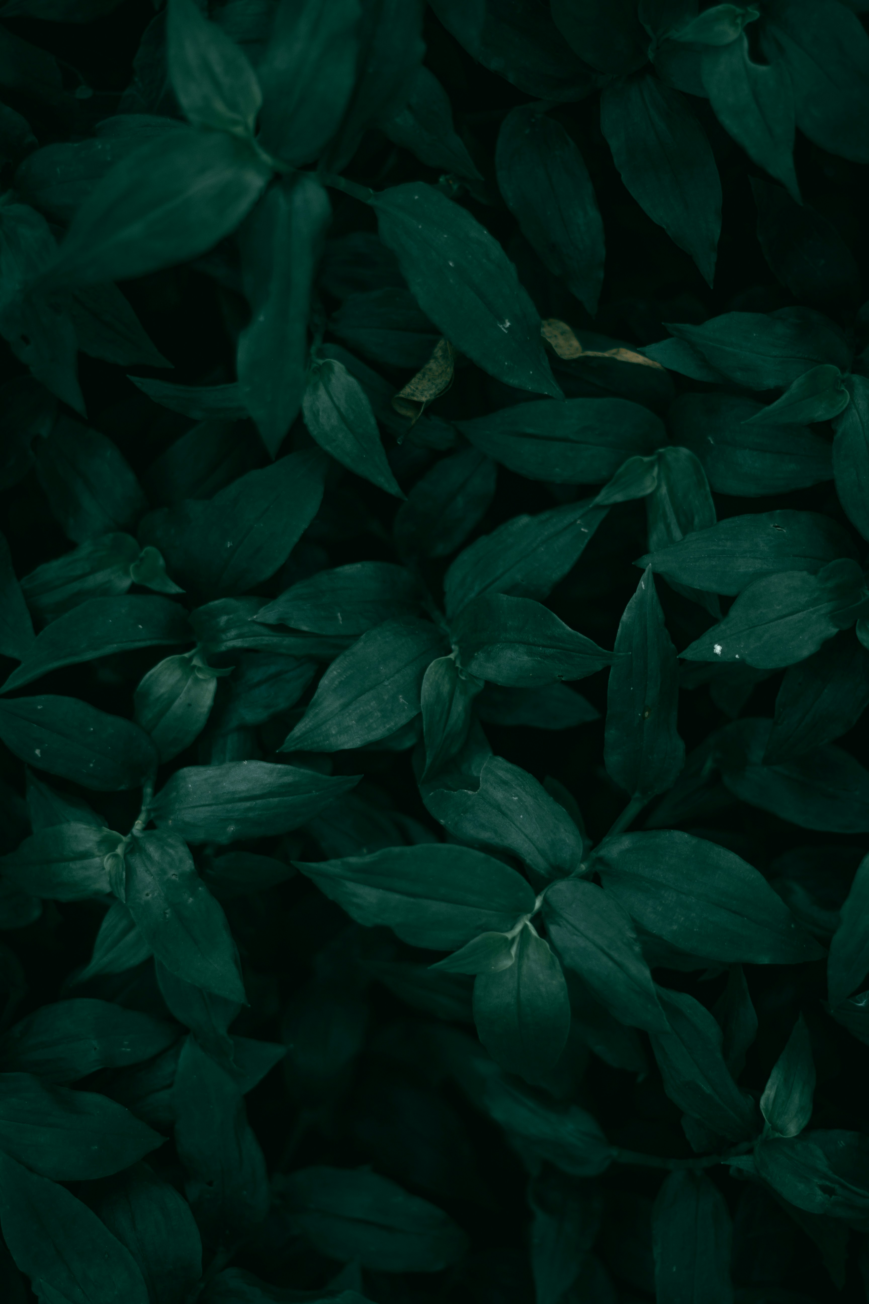 Photo by kristen_plastique