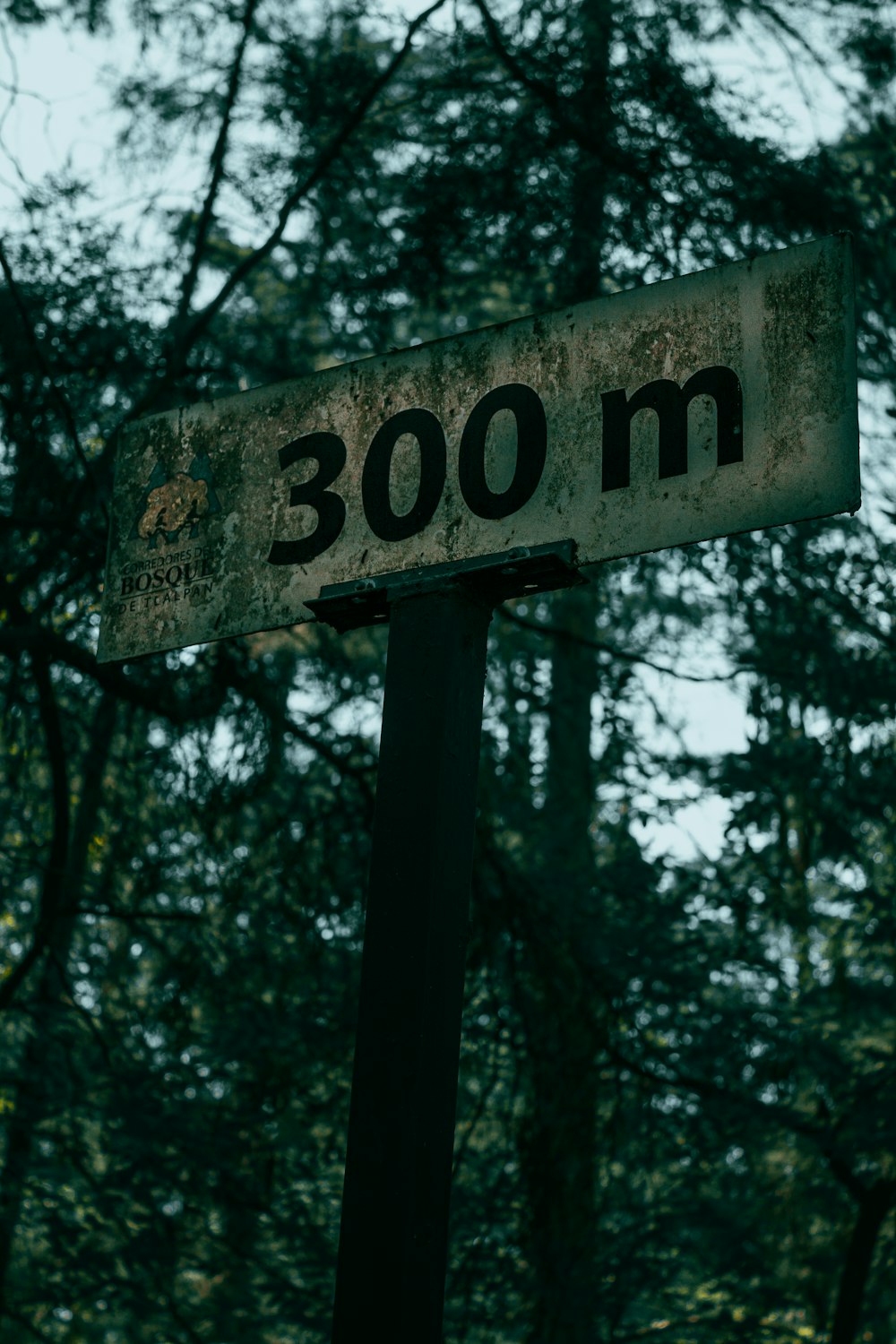 a street sign in front of trees