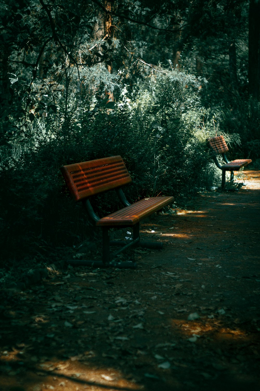 benches in a park