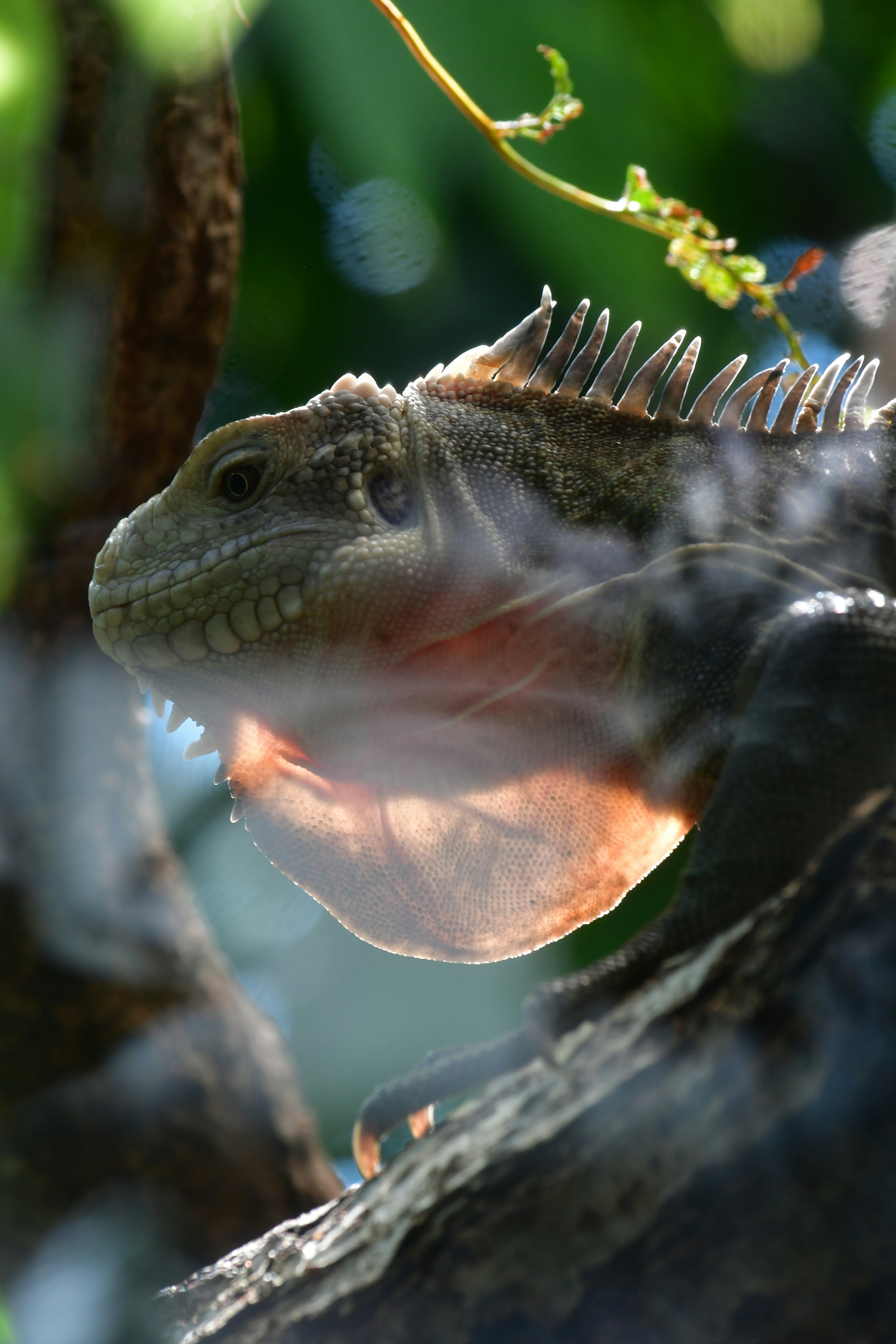 Photo by pedrino5_official