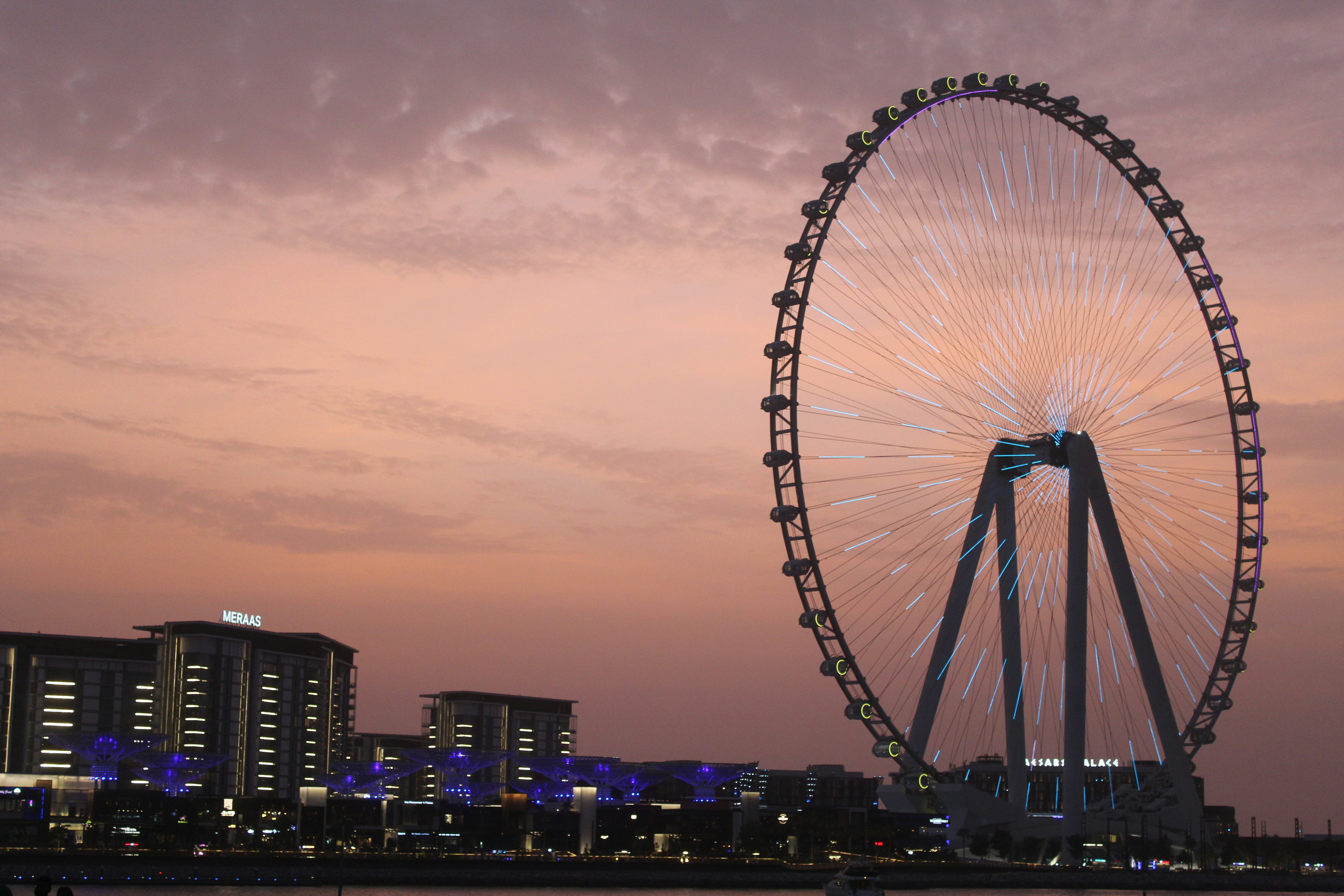 Photo by vaishag_menon