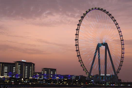 a ferris wheel at sunset