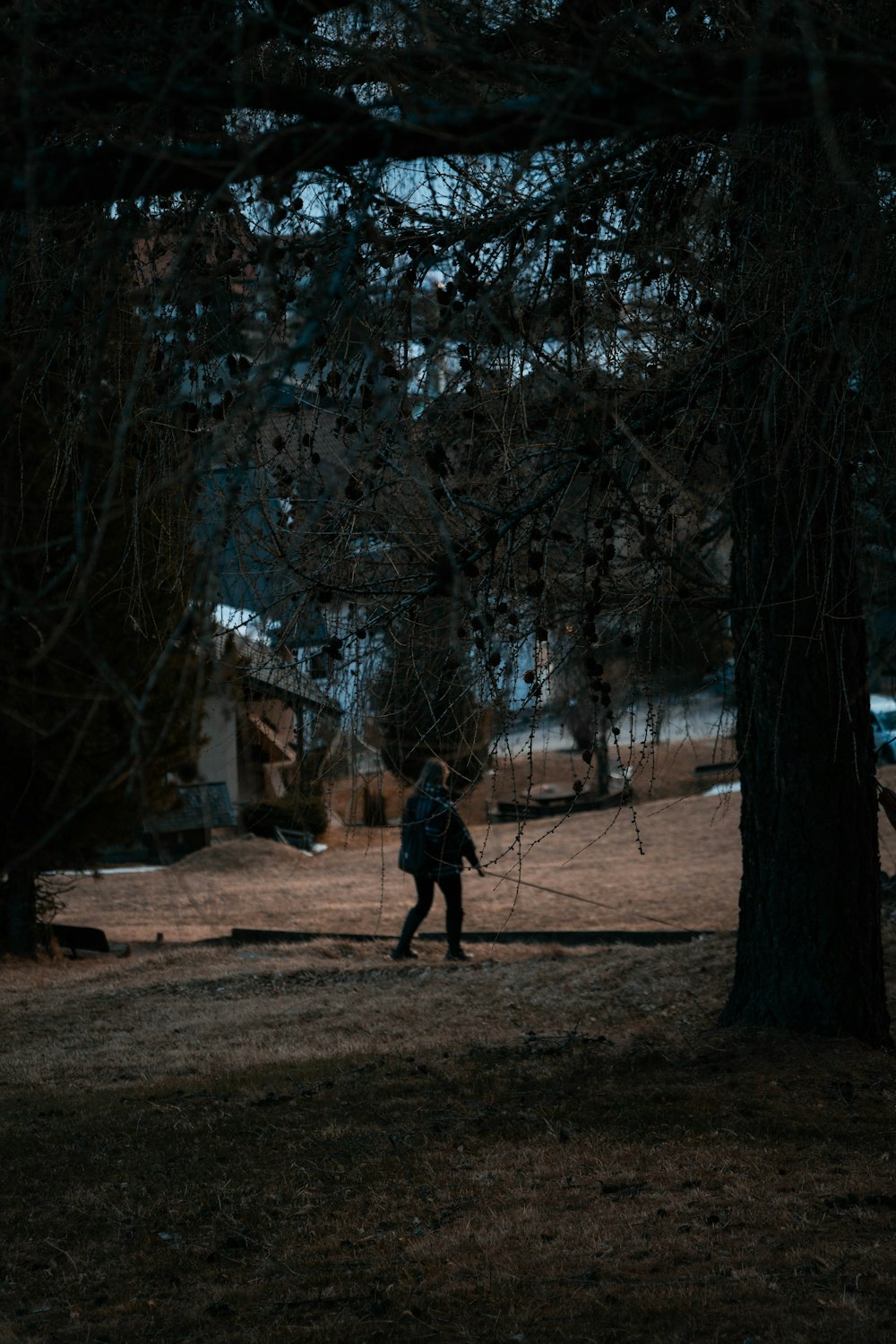 a person walking on a path between trees