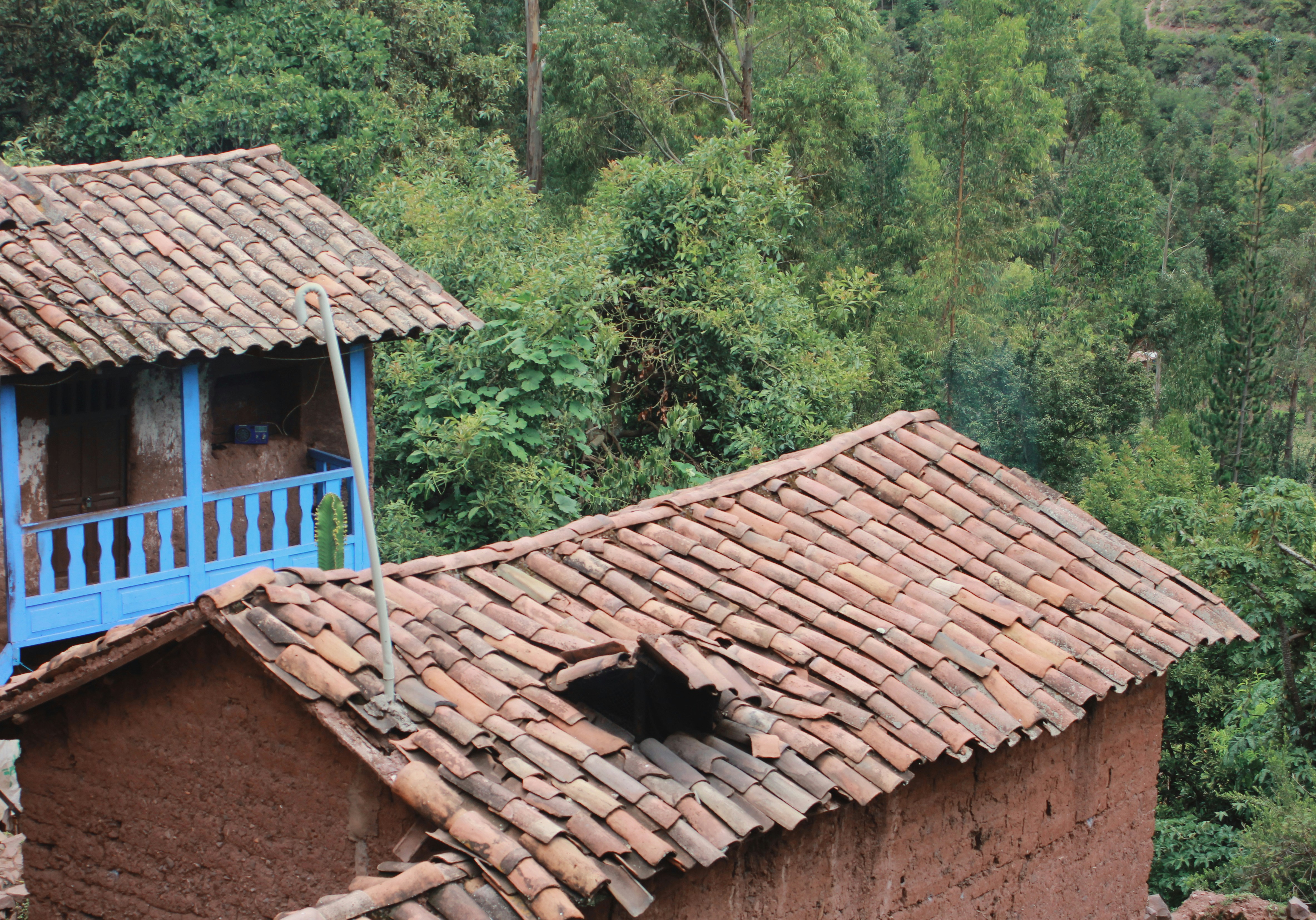 Family home with roof