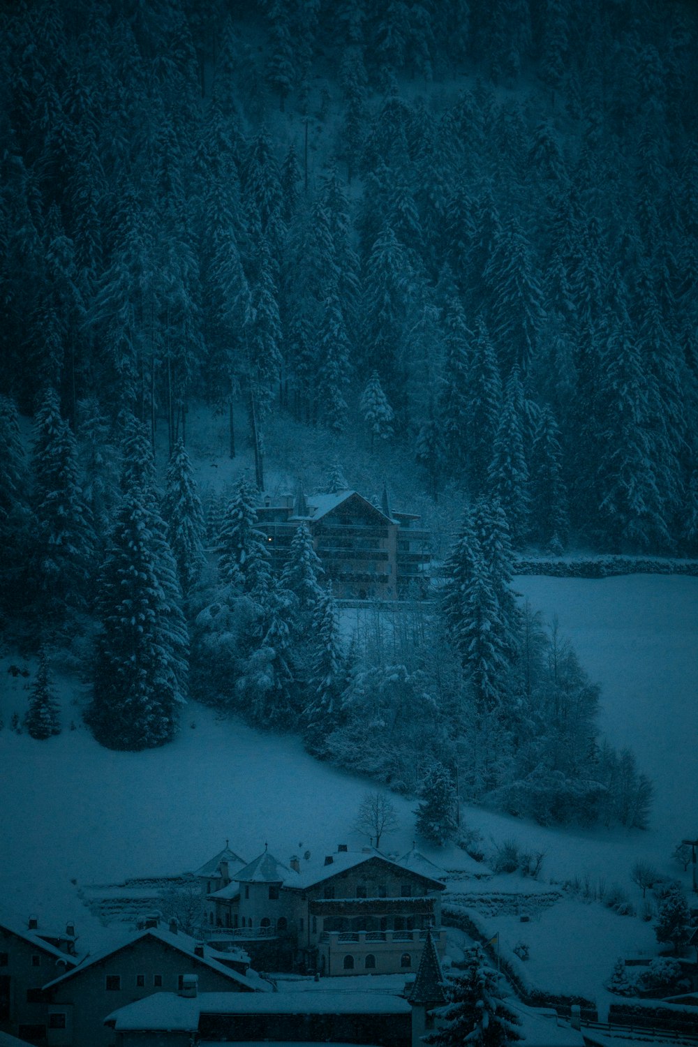 a snowy landscape with trees and buildings